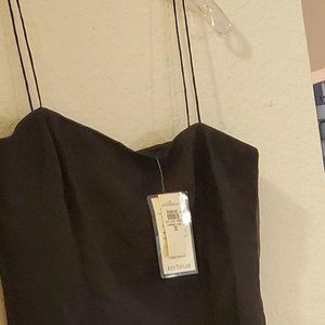 Women Ann Taylor new with tags dress size 10